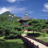 如何进行卵泡监测，全面指南